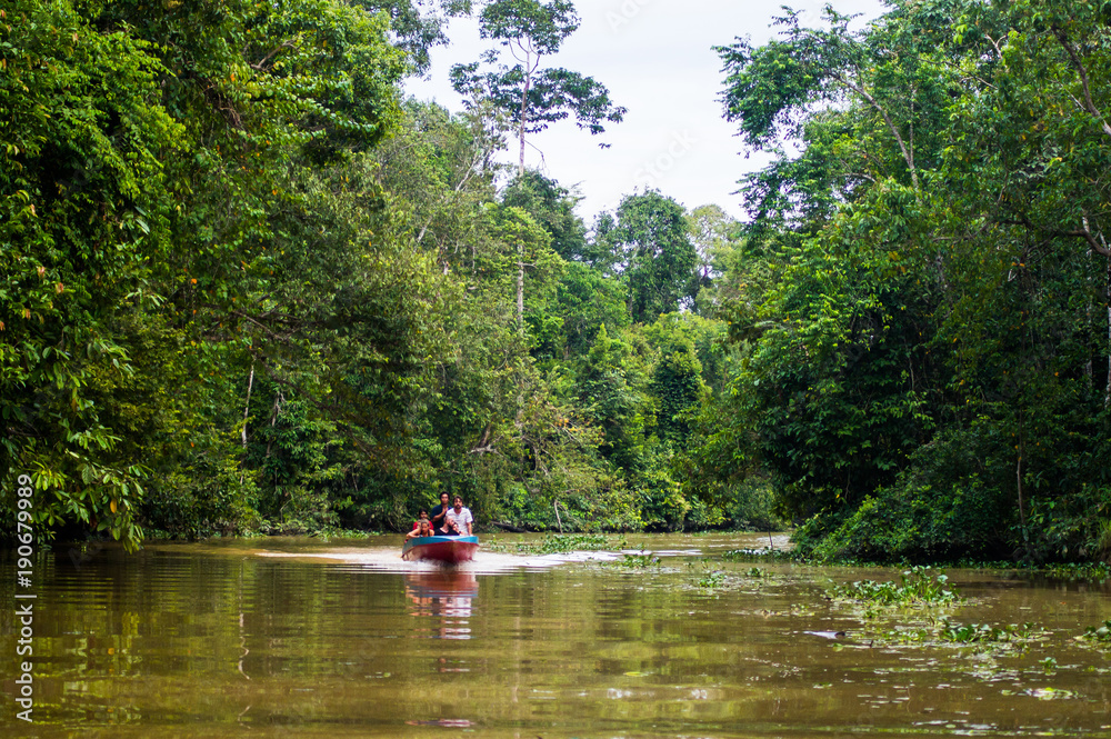 Naklejka premium Łódź płynie wzdłuż rzeki Kinabatangan otoczonej lasami tropikalnymi, Sabah, Borneo. Malezja.