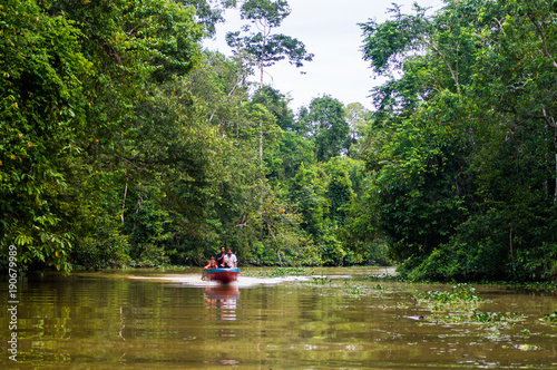 The boat sails along the Kinabatangan River surrounded by tropical forests, Sabah, Borneo. Malaysia.