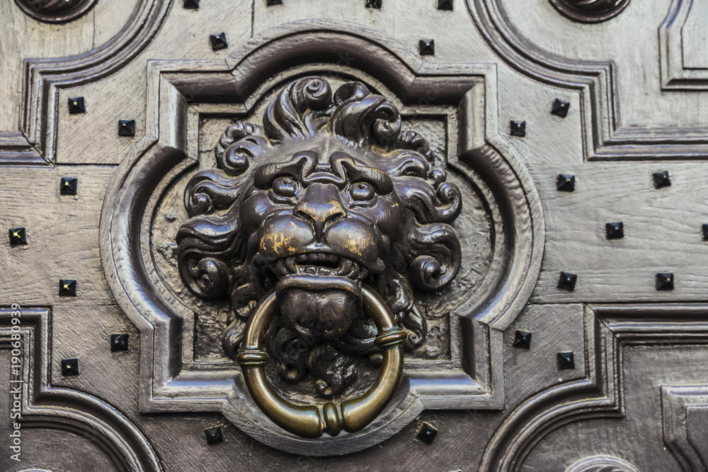 Wooden door with a doorknob with a lion's head
