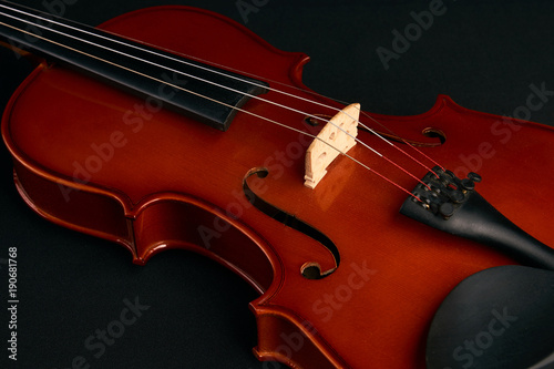 Classical brown violin