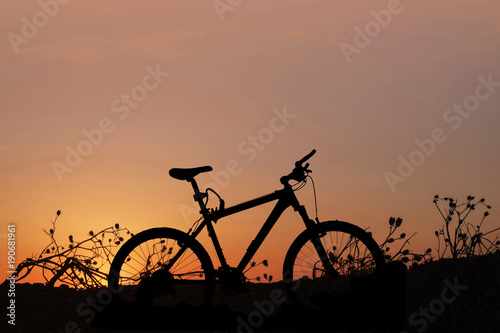 Bike and plants silhouette on a orange sunset background