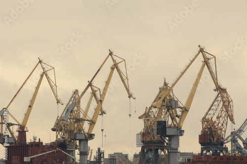 high cranes in cargo port