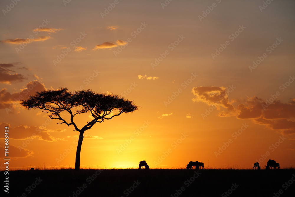 Beautiful sunset at Masai Mara wildlife century
