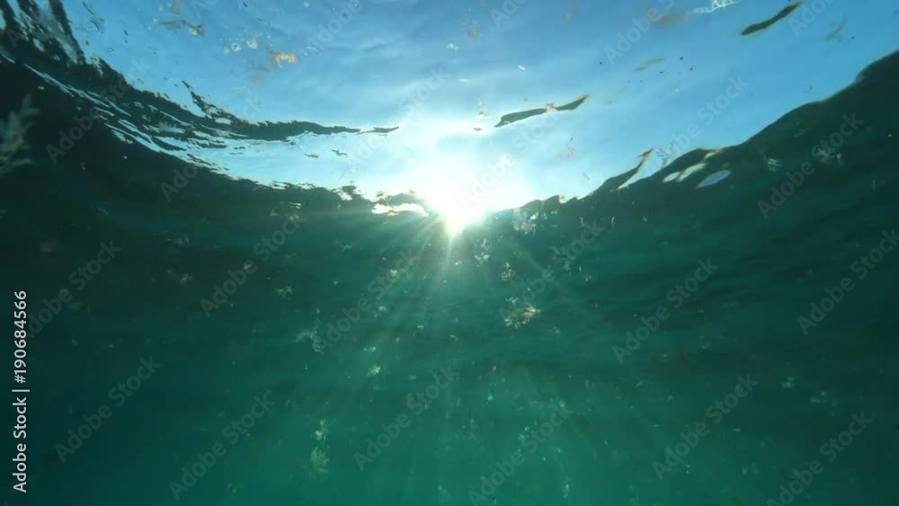 UNDERWATER SLOW MOTION: Aquatic world glistening from the sunrays ...