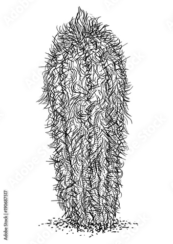 Old man cactus illustration, drawing, engraving, ink, line art, vector