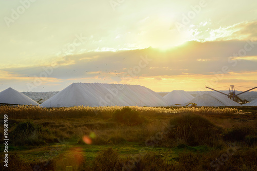 Rows of Pyramid Shape Salt Piles Deposits in Alicante Torrevieja Spain in Golden Sunlight Rays at Sunset. Beautiful Dramatic Scenery Pastel Colored Sky Meadow with Plants Green Grass.