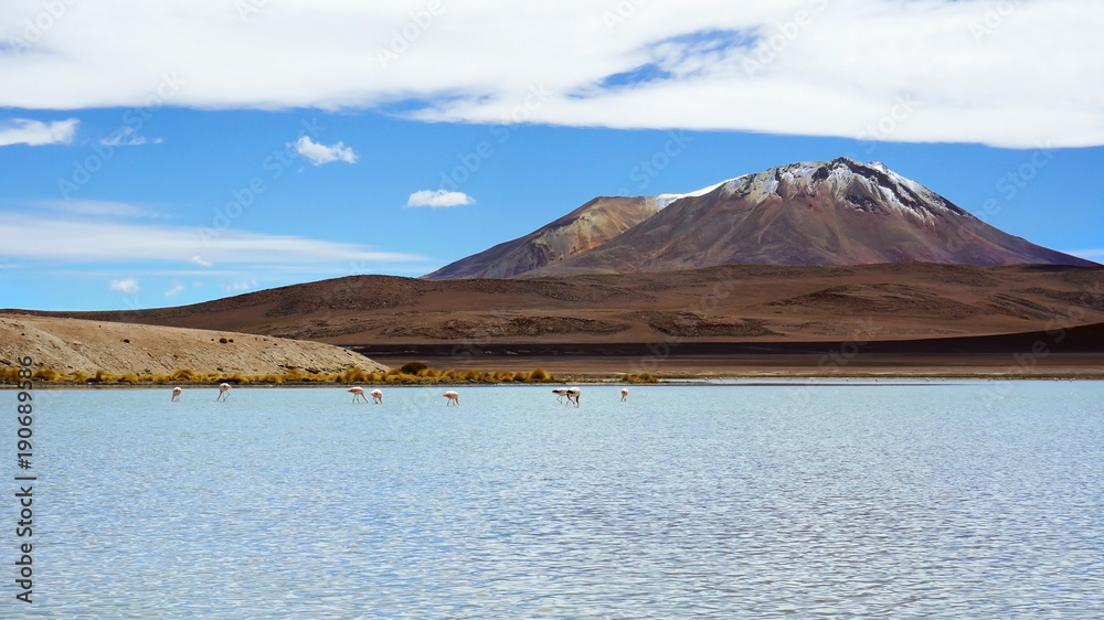 Amazing view of the turquoise lagoon with pink flamingos and Andes mountains in the Altiplano of Bolivia Amazing view of the turquoise lagoon with pink flamingos and Andes mountains in the Altiplano of Bolivia