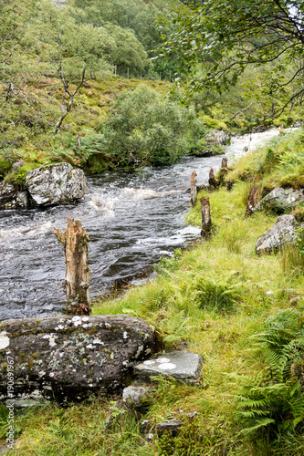 Wild river and dead tree stumps near Little Loch Broom, Scottish Highlands, Northern Scotland