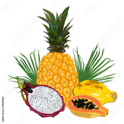 Pineapple, papaya, pitahaya and palm leaves.