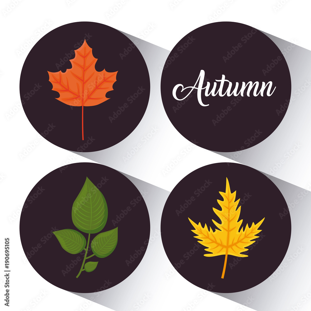 autumn season design