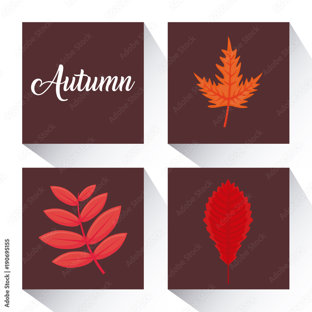 autumn season design autumn season design
