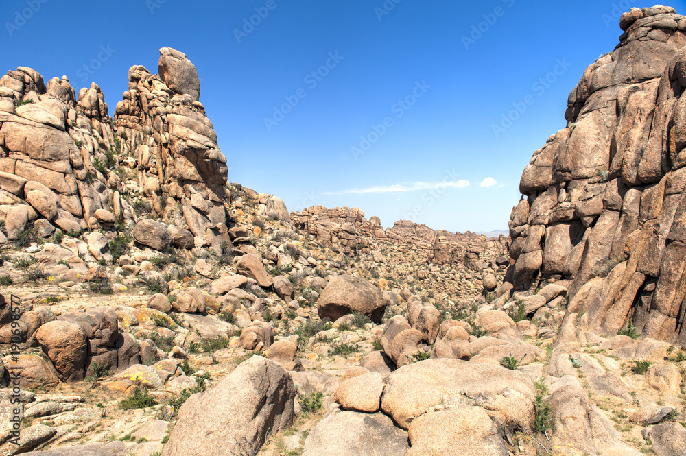 Felsformationen in der Wüste Gobi, Mongolei