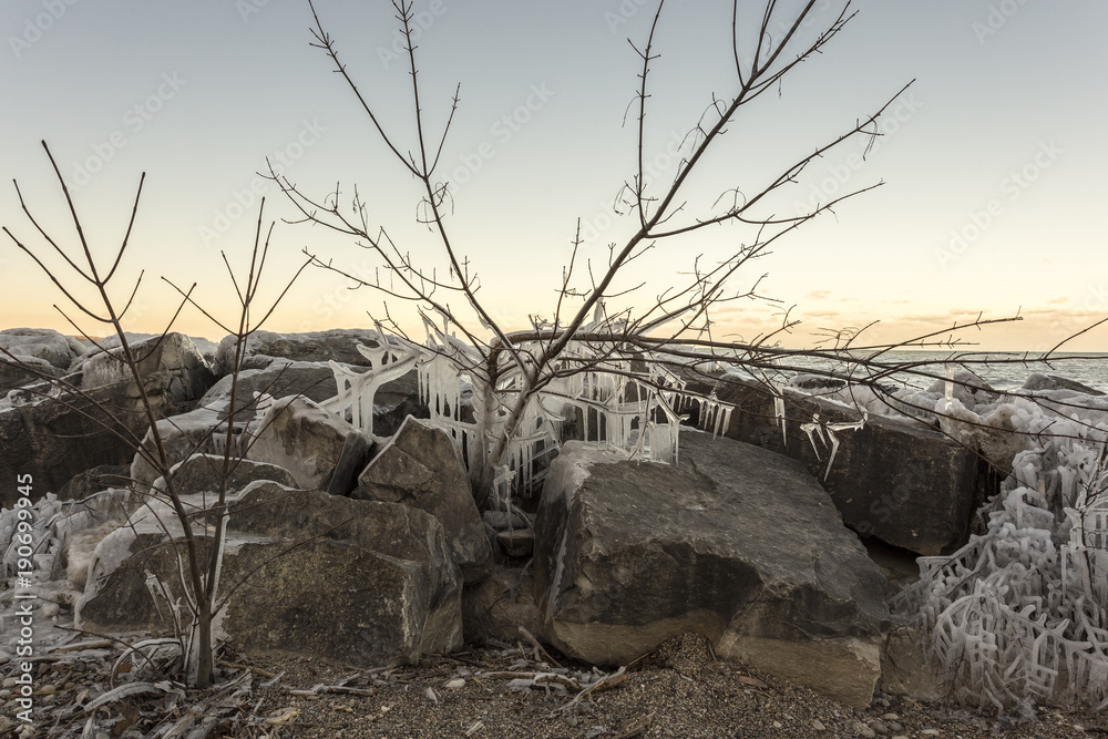 Rocks and tree covered in ice on rocky beach Rocks and tree covered in ice on rocky beach