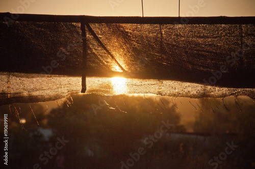 blanket in sunset light © Jonathan Schöps