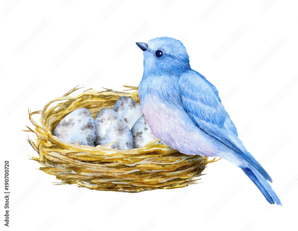 Cute little blue bird with nest and blue eggs. Watercolor illustration. Cute animals and birds. Spring symbol. Happy Easter. Blue luck bird