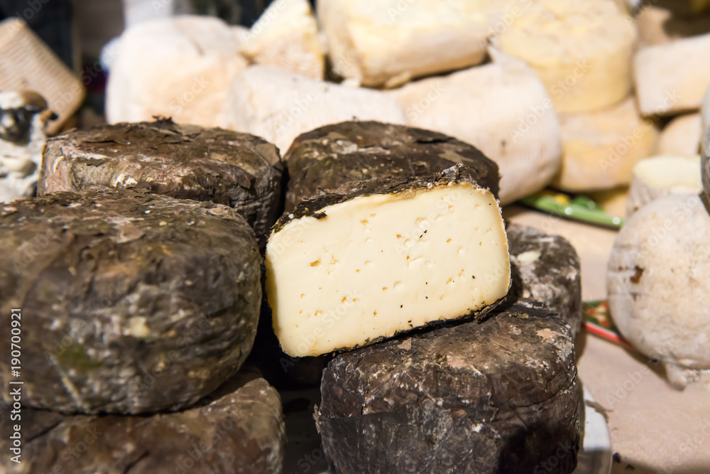 Various types of cheese