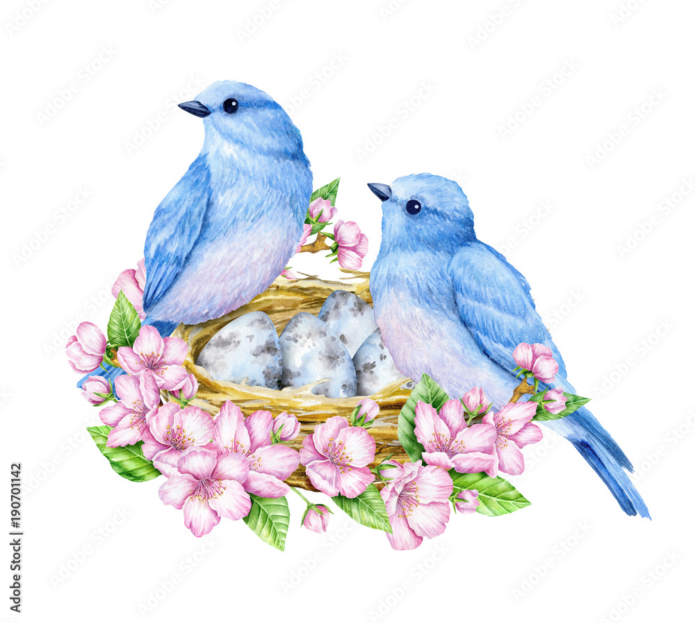 Cute little blue birds with nest and blue eggs. Watercolor illustration ...