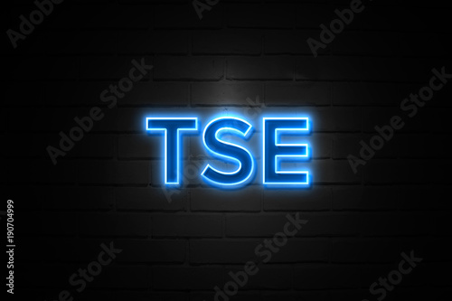 Tse neon Sign on brickwall