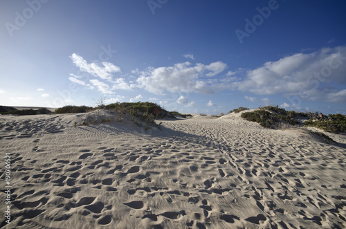 Fuerteventura