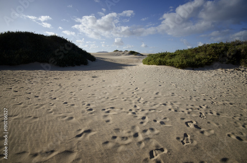 Fuerteventura