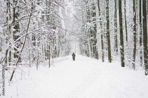 An elderly woman skiing in winter in a forest where there is a lot of snow.