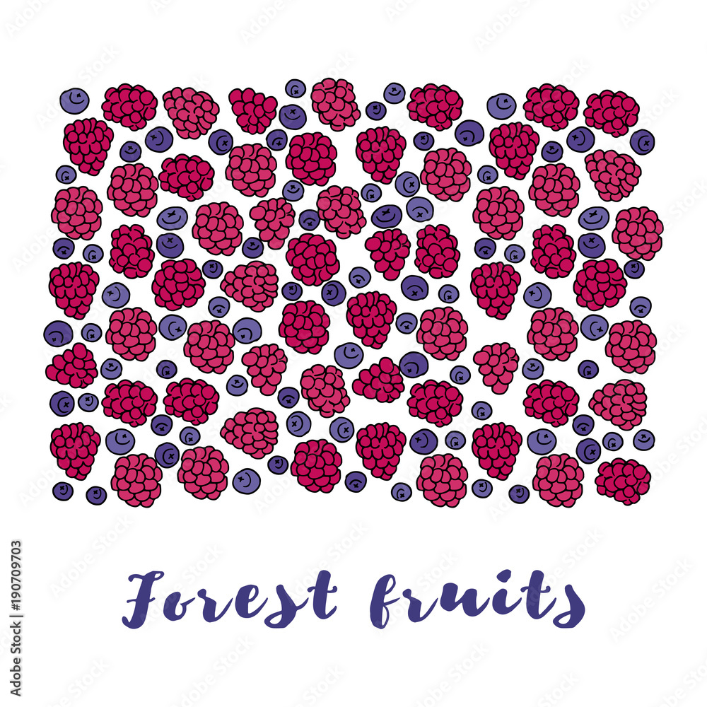 Naklejka premium Forest fruits
