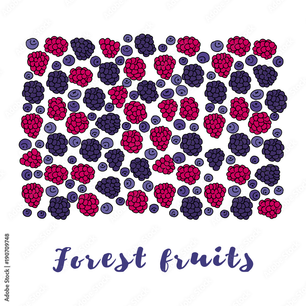 Naklejka premium Forest fruits