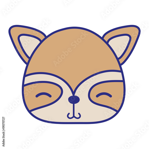 colorful shy raccoon head wild animal