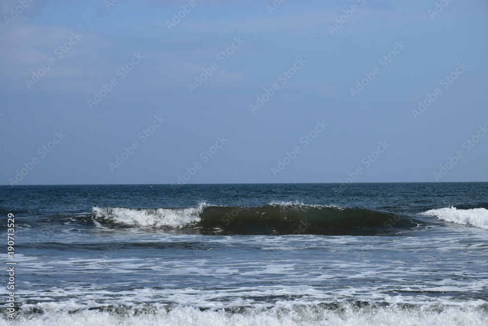 海 海