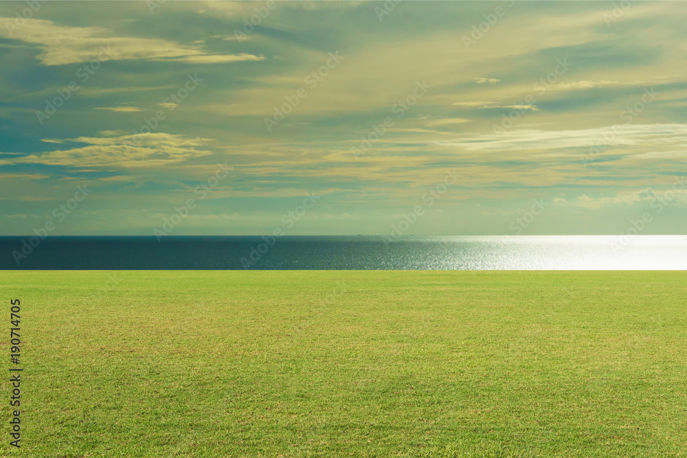 Green Grass, Soccer field ,Fairway Golf Course Sunset as background