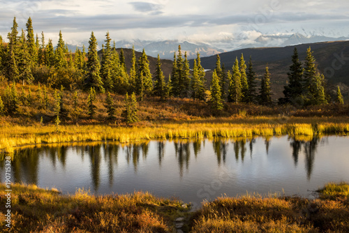 Sunlight reflects on a kettle pond in Denali National Park.