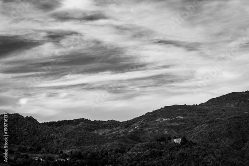 hills of tuscany