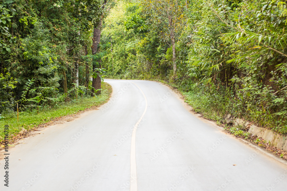 Obraz premium Road to the countryside