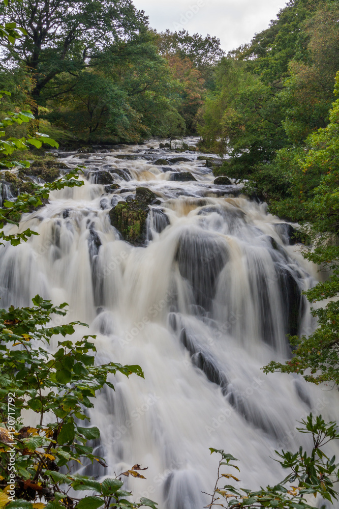 Obraz premium Swallow falls