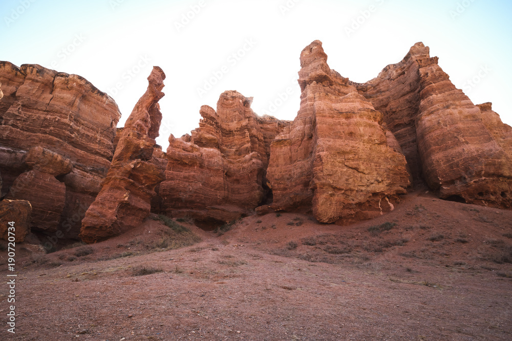 Fototapeta premium Scenic view inside Charyn canyon. Beautiful tree.