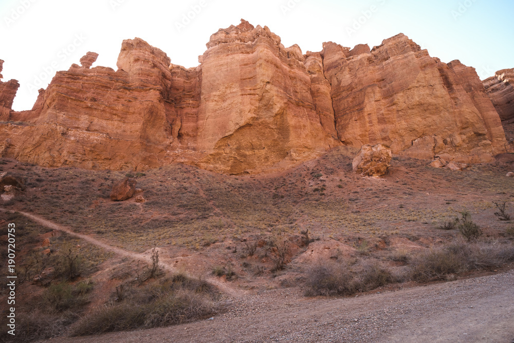 Fototapeta premium Scenic view inside Charyn canyon. Beautiful tree.