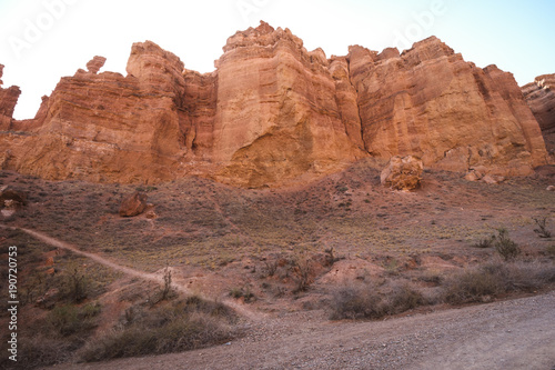 Scenic view inside Charyn canyon. Beautiful tree.