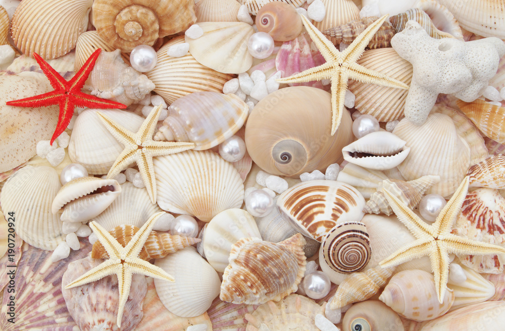 Seashells, pearls and starfishes as background