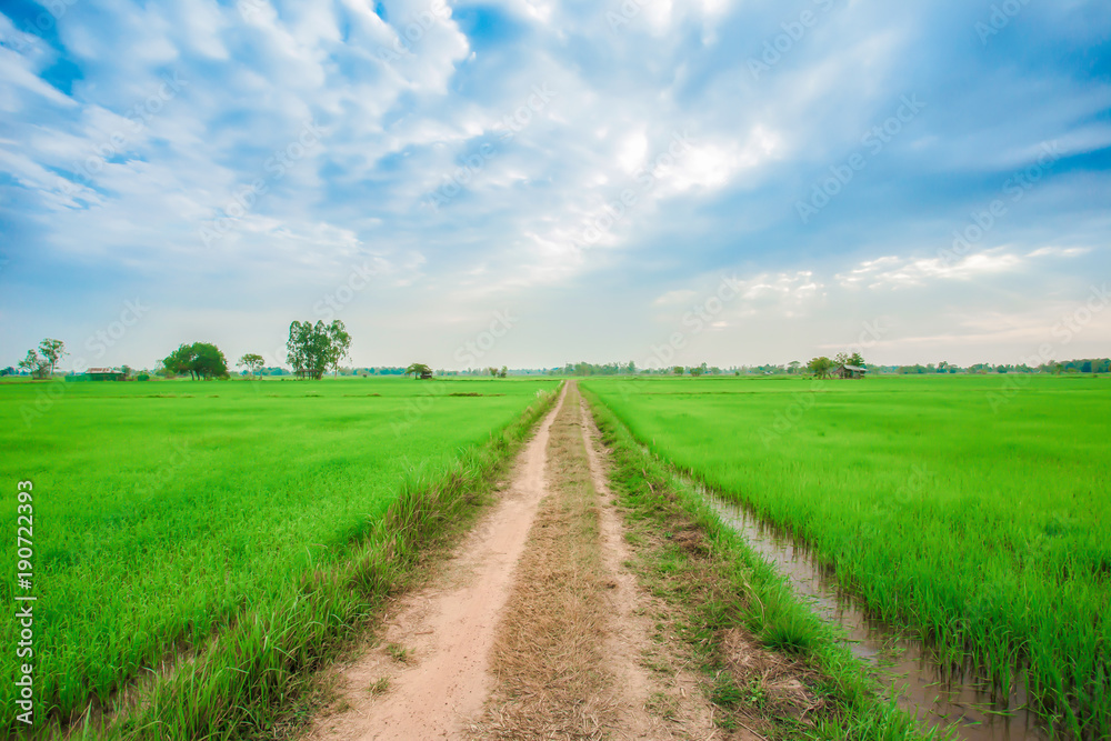 Field, Dawn, Dusk, Land, Meadow