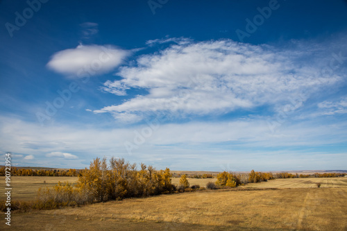 Elevated Rural Montana Photo of Grassy Field and Autumn Trees