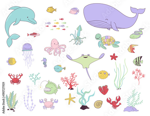 Sea animals, fish and water plants