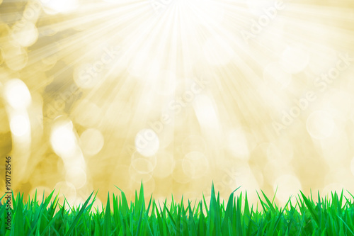 Green grass on the bokeh gold background textures and sunlight