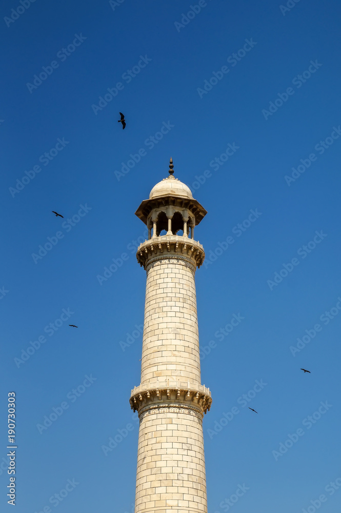 Close-up high detailed view of Taj Mahal minaret and birds flying over it