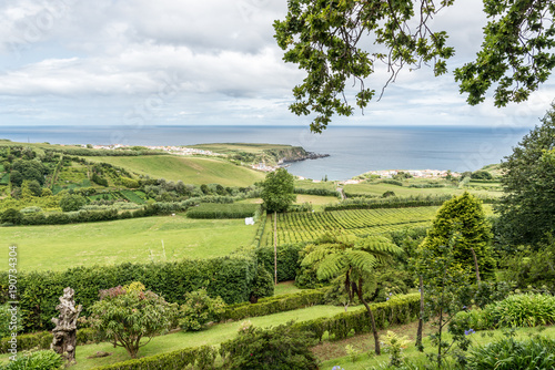 Tea plantations in Porto Formoso on the island of Sao Miguel, Portugal