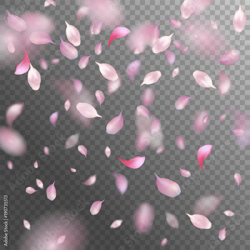 Vector Flying Petals