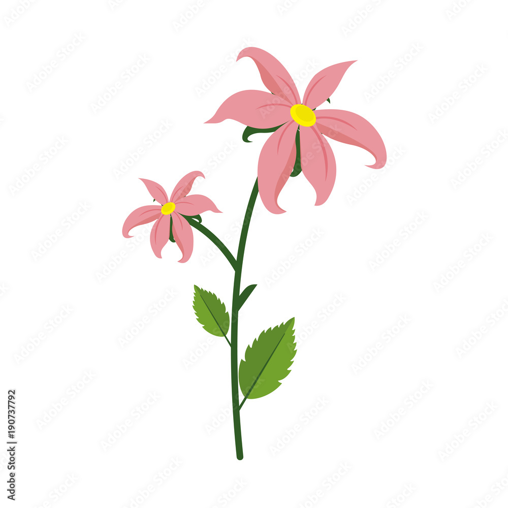 Isolated Lily Flower Plant Illustration Isolated Lily Flower Plant Illustration