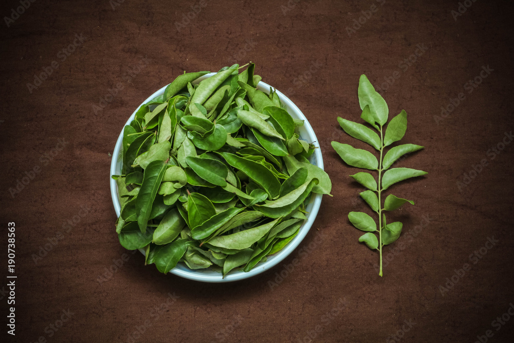 uncooked-curry-leaves-stock-photo-adobe-stock
