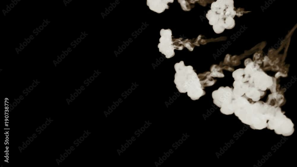 Smoke streams in slow motion isolated on black background with backlit and ready for compositing for visual effects. For transparency use mode screen. Smoke streams. V3 Smoke streams in slow motion isolated on black background with backlit and ready for compositing for visual effects. For transparency use mode screen. Smoke streams. V3
