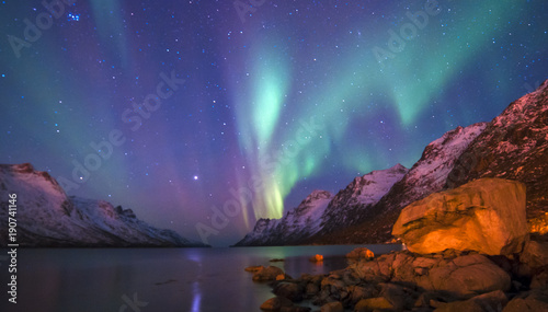 Obraz na plátně The polar lights in Norway . Ersfjord. Tromso