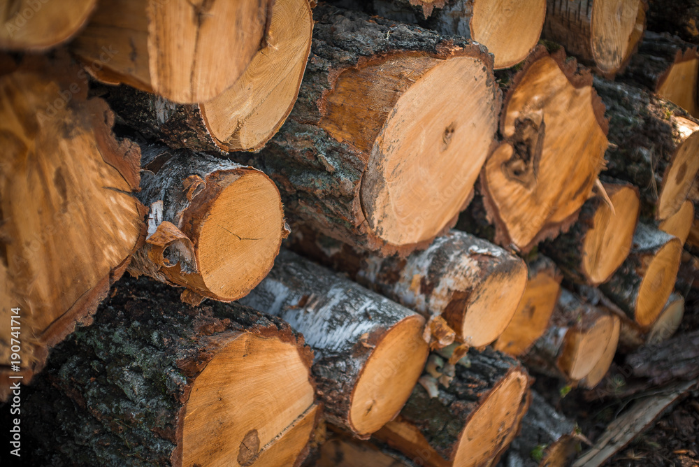 Stack of wood Stack of wood